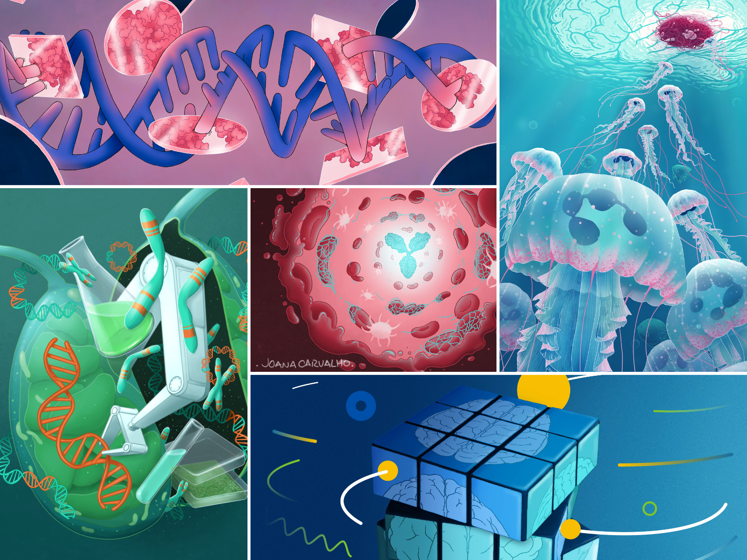 Composition of five illustration work examples done by Joana Carvalho, covering fields like the origin of life, cancer immunity, algal biotechnology, blood coagulation disorders and neuroscience.