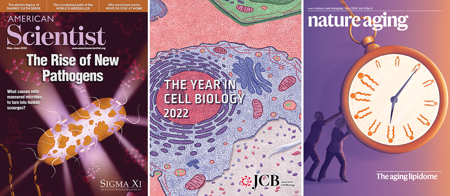 Composition of three cover illustration work examples done by Joana Carvalho, covering fields like the emergence of new pathogens, cell biology, and aging