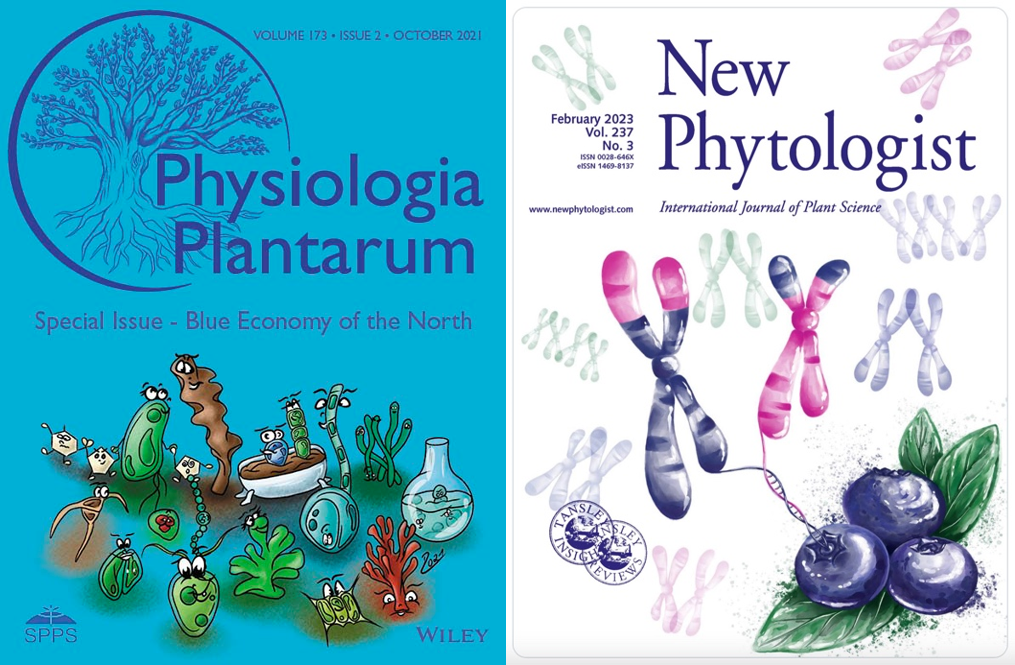 Covers created by Daria for different scientific journals