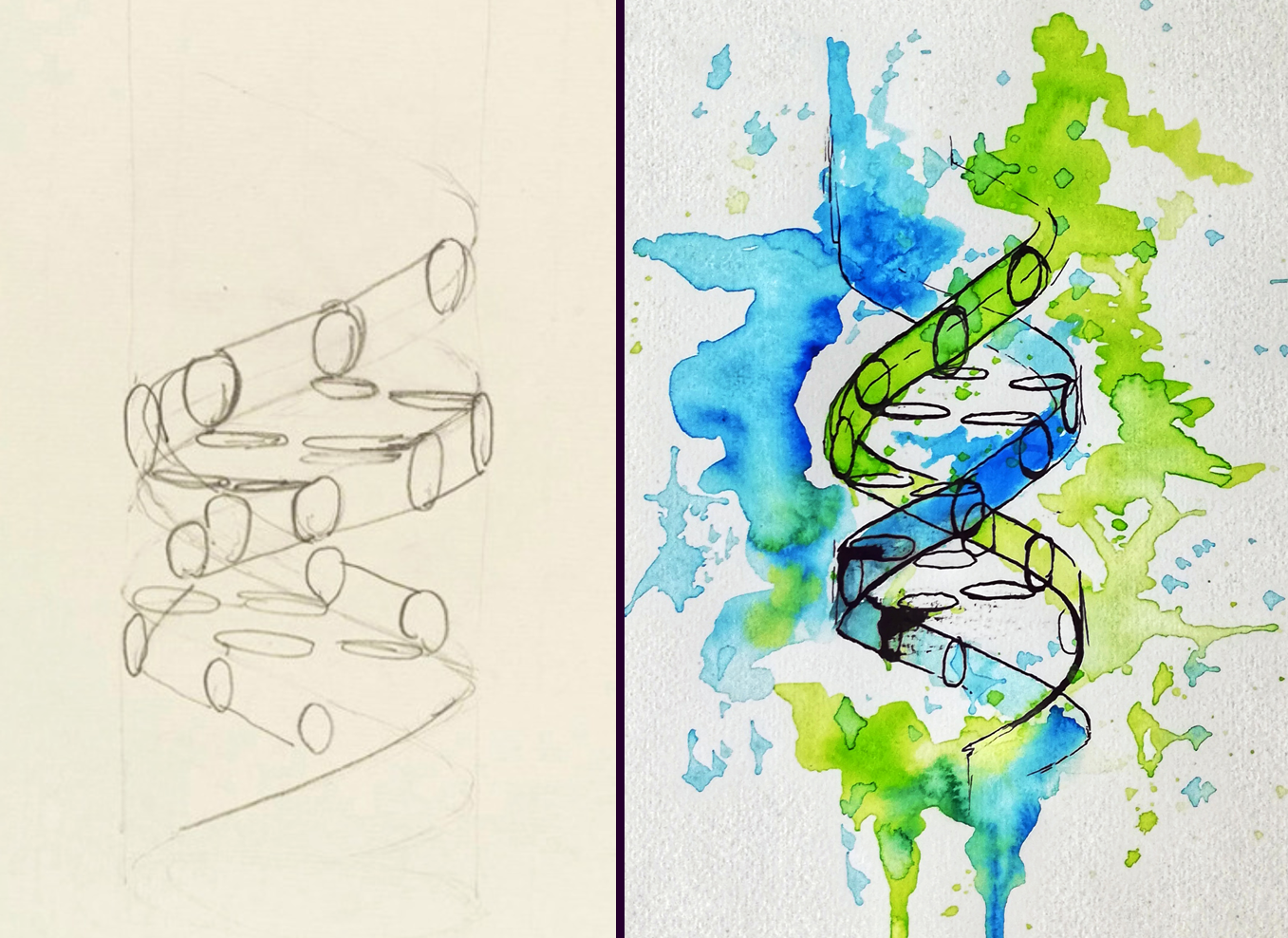 Skizze und finale Illustration der DNA von Philipp Dexheimer